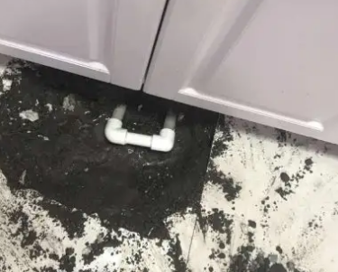 铁力查漏水哪家好
